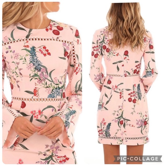KEEPSAKE the Label Dresses & Skirts - Keepsake The Label Indulge Long Sleeve Mini Dress in Blush Botanical Floral